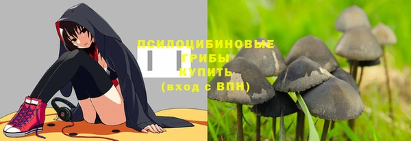 ешки Майский