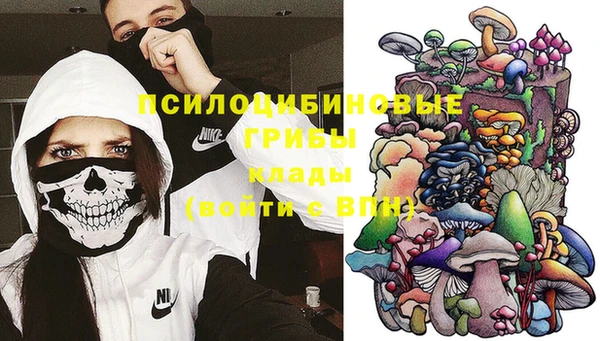 эйфоретик Магас