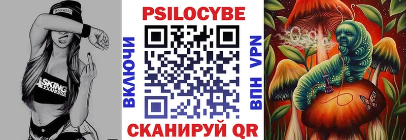 Псилоцибиновые грибы прущие грибы  Петровск-Забайкальский 