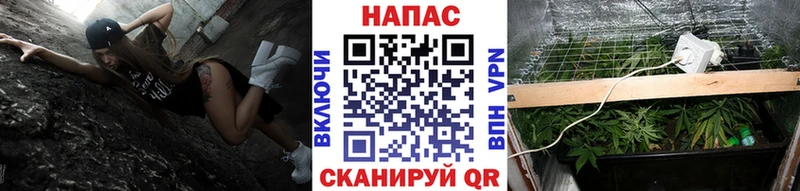 Каннабис марихуана  цены наркотик  Петровск-Забайкальский 